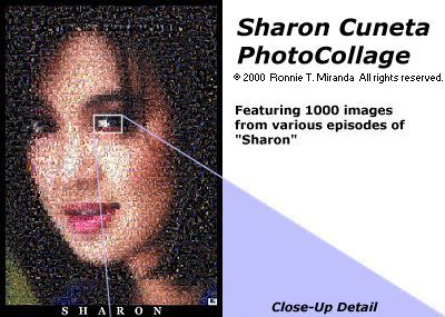 collage_sharon01.jpg 