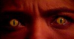 Cat Eyes