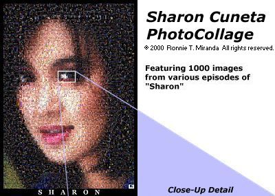 collage_sharon01.jpg - 34.38 K